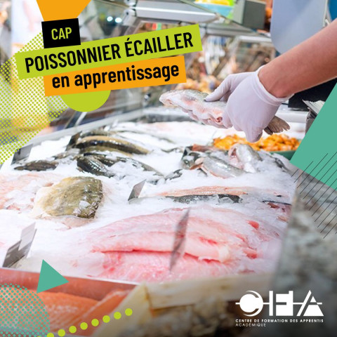 Forme-toi en CAP poissonnier écailler